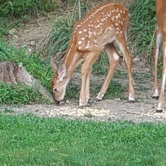 Meet your Posher, Janet - Picture 5 of 12